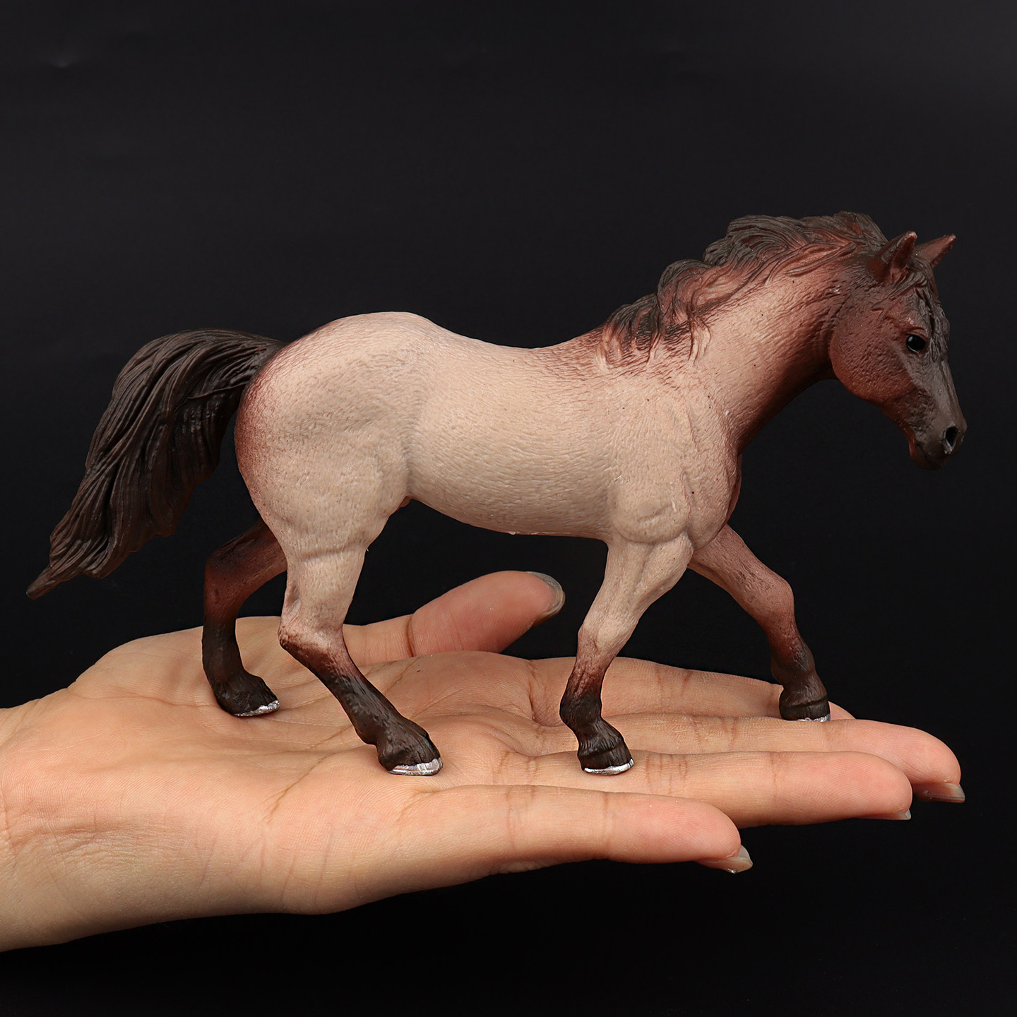 Clydesdale Hanoverian Quatema  - Kids First Education 评论和价格