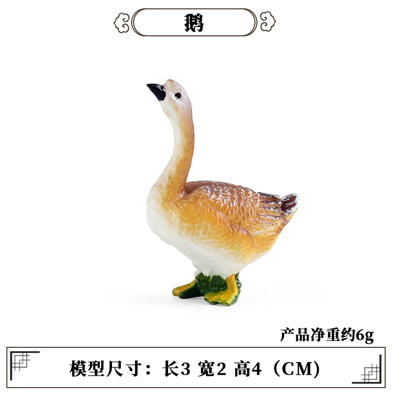 Education Teaching Tool Poultr - Kids First Education 评论和价格